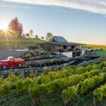 Anacreon Winery outdoors